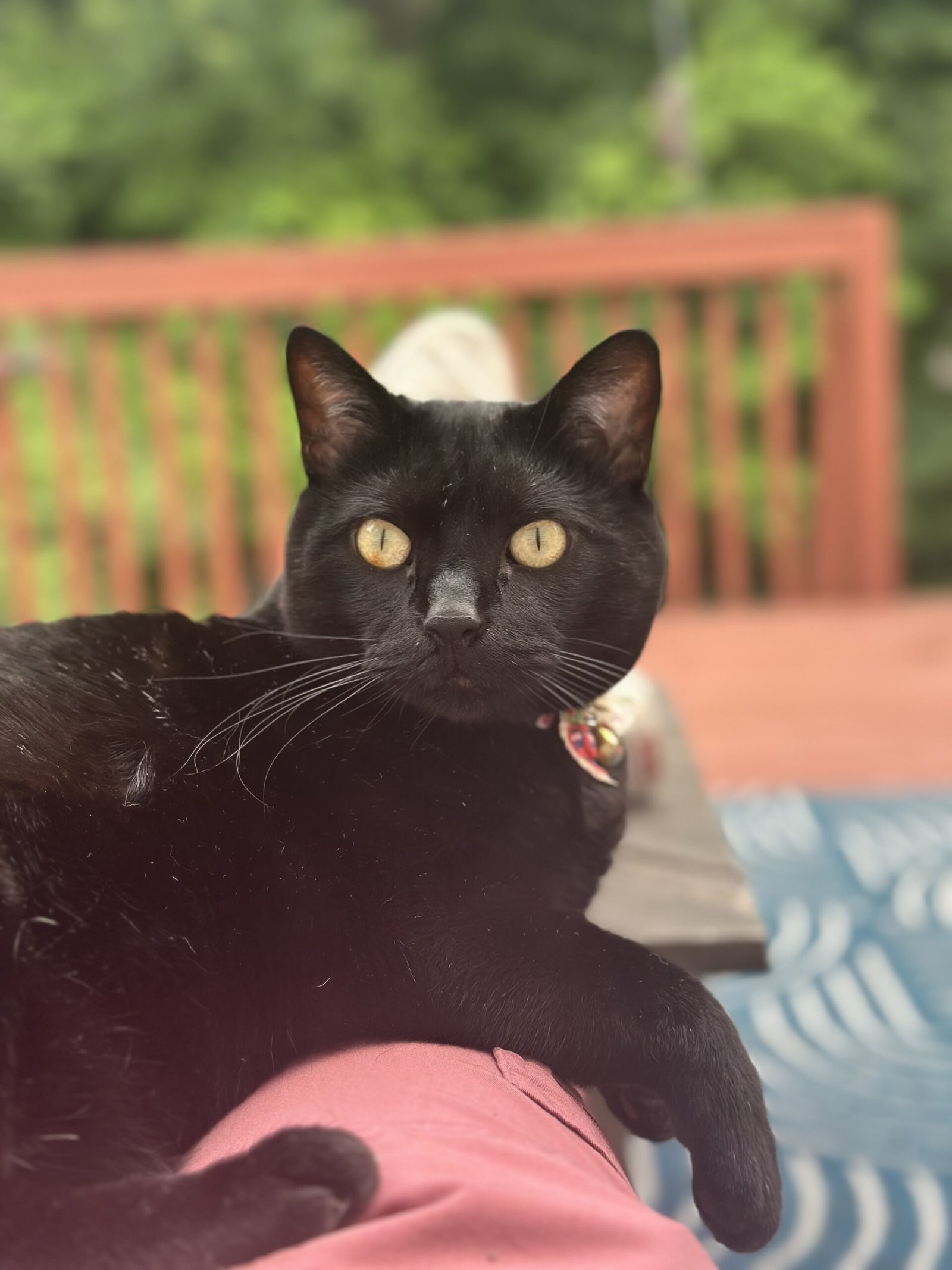 Loki